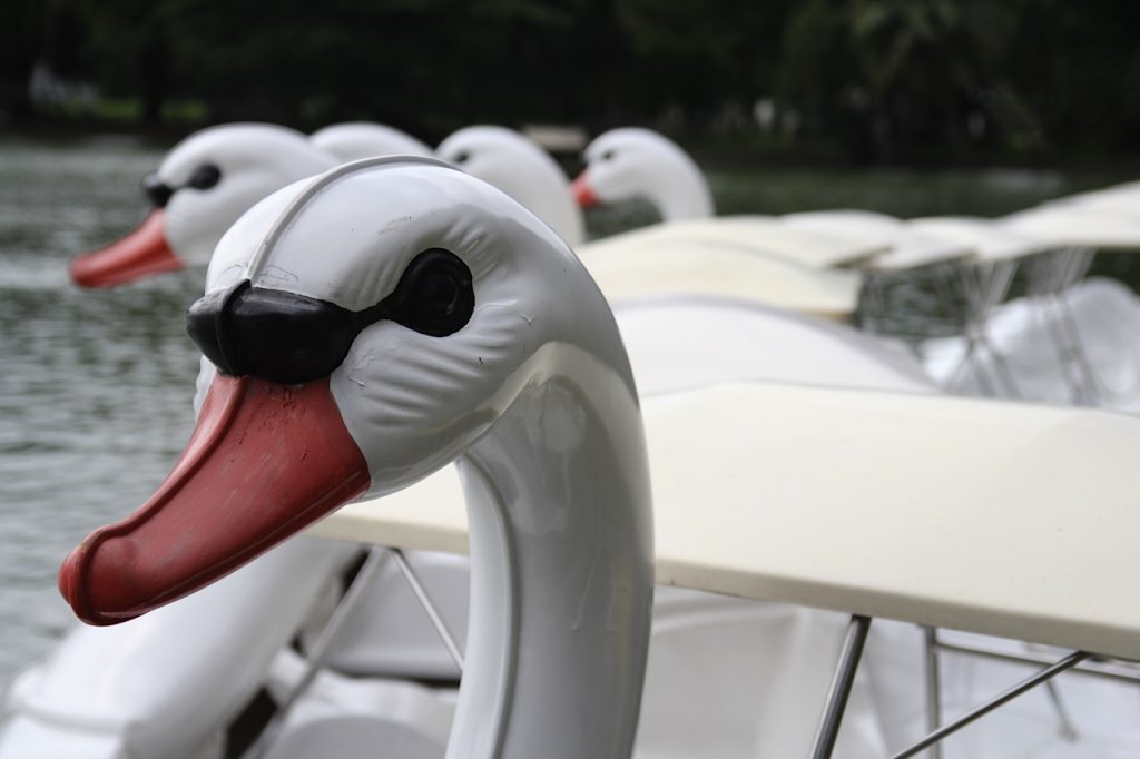 Lumphini Park Bangkok swan paddle boat