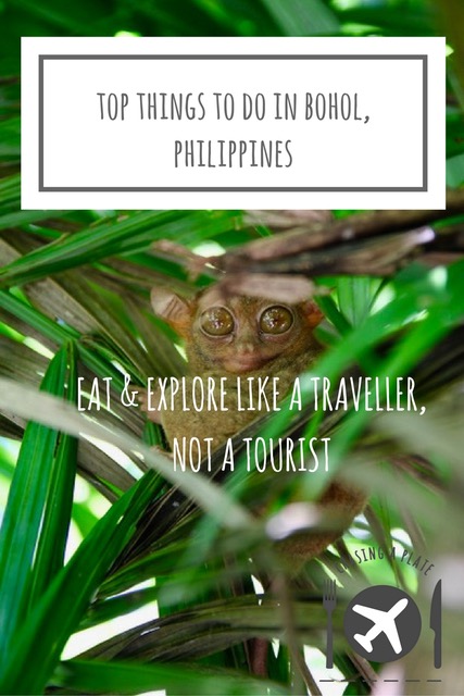 Top Things to do in Bohol, Philippines