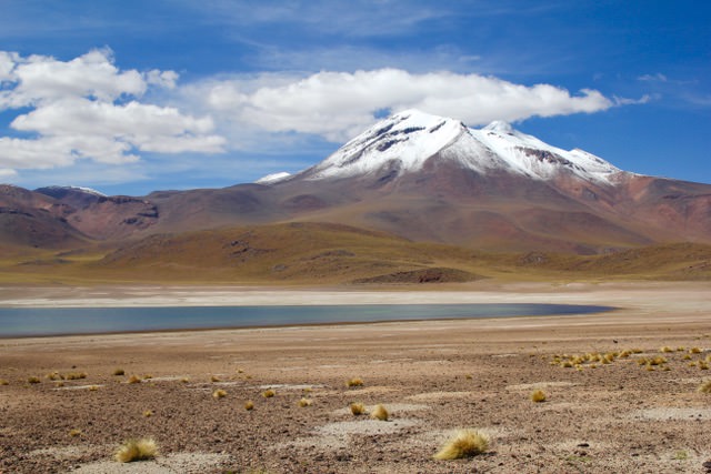 Laguna Miscanti, Atacama Desert